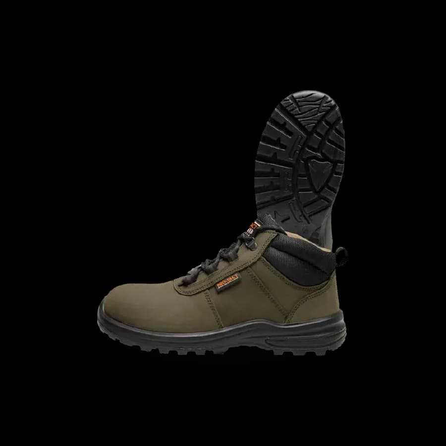 Woodland Polar I